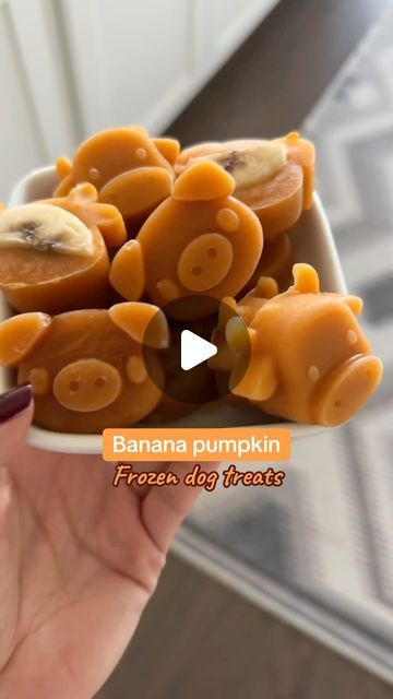 EmeryPets on Instagram: "Easy fall dog treats and you only need 3 ingredients! 

@emerypets.co treat mold: pig + cow

Recipe:
-to a blender add 1/4 of a banana, 3oz of pumpkin puree (not pumpkin pie filling) and 3oz of water
-blend and pour it into your treat mold
-cut up 5 slices of bananas and cut each in half 
-add the banana on top of each mold
-freeze for 3-5 hours" Fall Dog Treats, Frozen Dog Treats, Pumpkin Dog Treats, Pumpkin Banana, Frozen Dog, Fall Dog, Pumpkin Pie Filling, Treat Recipes, Dog Treat Recipes