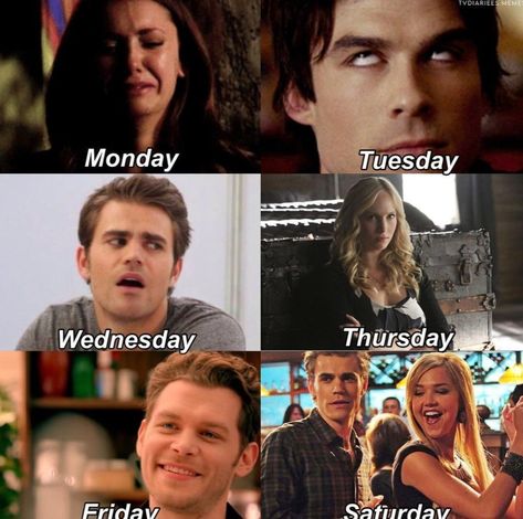 Tvd Memes Funny Hilarious, Vampire Diaries Funny Memes Hilarious, Tvd Funny Pictures, Tvd Memes Funny, Tvd Funny, Paul Wesley Vampire Diaries, Tvd Cast, Vampire Diaries Memes, The Vampire Diaries Characters