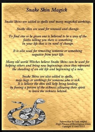 Snake skin magic Snake Magick - Pagan - Witch - Pinned by The Mystic's Emporium on Etsy Snake Skin Magic, Snake Skin Spells, Snake Skin Witchcraft, Snake Skin Crafts, Sister Witches, Spell Pages, Simple Spells, Hoodoo Magic, Snake Goddess