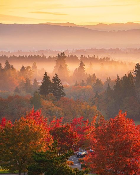 Portland Oregon Fall Aesthetic, Pacific Northwest Fall, Oregon Fall Aesthetic, Pnw Autumn, Seattle Fall, Pnw Fall, Oregon Fall, Pnw Aesthetic, I Love School