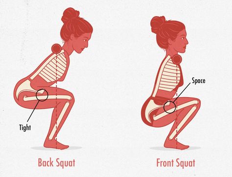 The Skinny Gal's Guide to Squats — Bony to Bombshell Different Squats, Squat With Bar, Upper Back Muscles, Squat Variations, Goblet Squat, Back Squats, Front Squat, Advantages And Disadvantages, Bulk Up