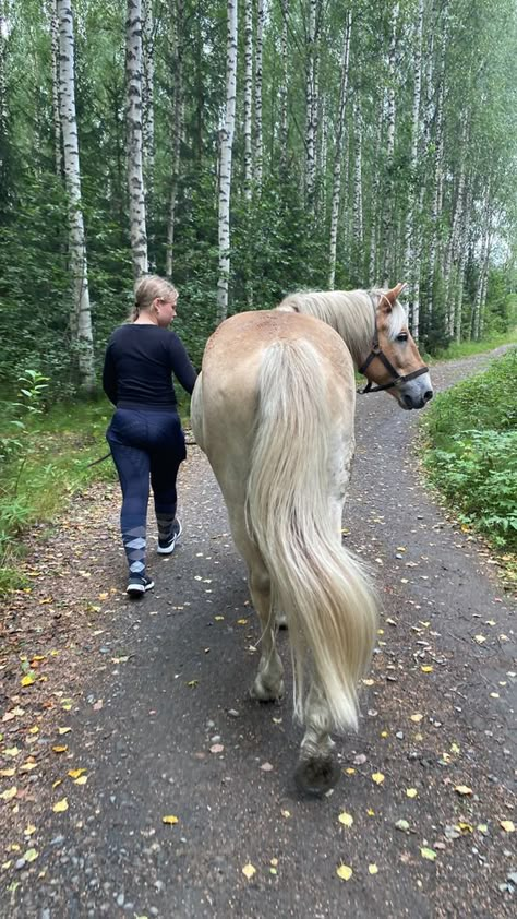 Equestrian Aesthetic Outfit, Equine Aesthetic, Horse Lifestyle, Horse Riding Aesthetic, Horsey Life, Horseback Riding Outfits, Dream Stables, Cute Horse Pictures, Equestrian Aesthetic