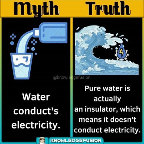 Myth And Truth, Myth And Fact, Science And Superstition, Facts For Students, Interesting Science Facts, True Interesting Facts, Chemistry Class, Cool Science Facts, Amazing Facts For Students