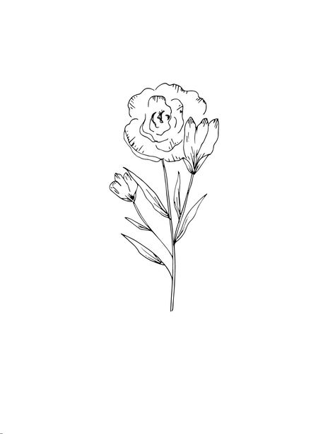 lisianthus drawing with a pigma micron pen floral design floral drawings #FLORALSYOURWAY Lisianthus Tattoo Design, Lisianthus Drawing, Lisianthus Tattoo, Meaningful Flower Tattoos, Aa Tattoos, Floral Drawings, Micron Pen, Mother Tattoos, Random Images