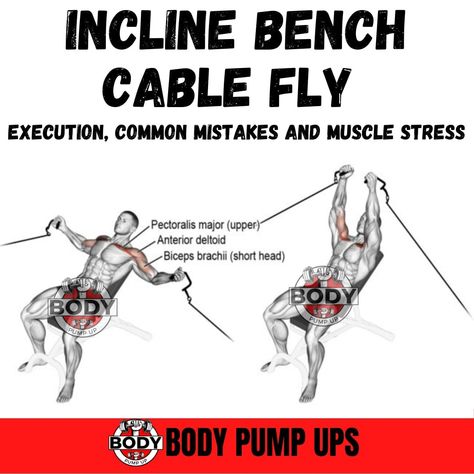 Incline  Bench Cable Fly


Incline Cable fly is one of the most suitable exercises for isolating the upper chest muscles. Performing this exercise with cables instead of Dumbbells allows for constant tension, which helps build Upper Chest fibers. This constant tension cannot be achieved with Dumbbells.

Follow me @bodypumpup 

#chestexercises #chest #chestpump #chestworkouts #chestworkouts #chestworkout #chestpumps #inclinebenchcableflys #benchcablefly #cablefly #inclinecableflys #workoutguidema Cable Flys, Biceps Brachii, Incline Bench, Body Pump, Planet Fitness, Chest Muscles, Chest Workouts, Workout Plan Gym, Planet Fitness Workout