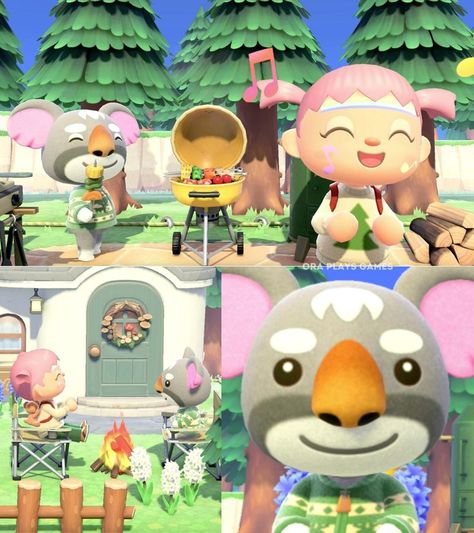 Acnh Gonzo, Acnh Hhp, In My Element, Glamping Site, My Last, Glamping, Live Streaming, Animal Crossing