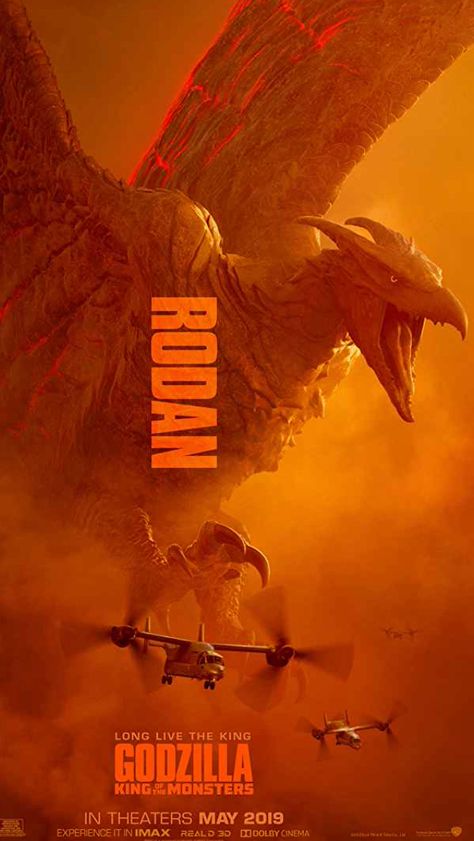 Rodan Godzilla, Godzilla Movie, Godzilla Collection, Godzilla King Of The Monsters, Godzilla 2, Rukia Bleach, Marvel Movie Posters, Godzilla Wallpaper, All Godzilla Monsters