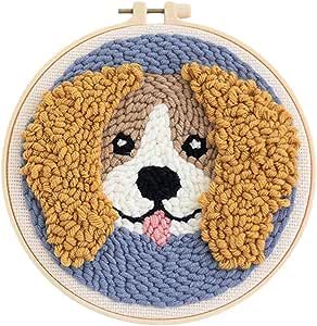 Rug Hooking Kits, Modern Embroidery Kit, Cross Stitch Hoop, Punch Needle Kits, Needle Kit, Stitch Guide, Embroidery Tools, Linen Fabrics, Hand Embroidery Kit