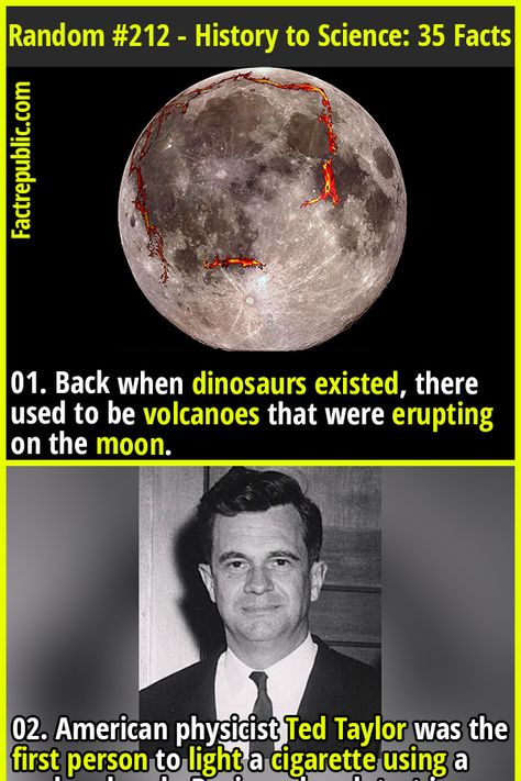 01. Back when dinosaurs existed, there used to be volcanoes that were erupting on the moon. #dinosaur #volcano #science #knowledge #education #wtf #shocking #history #moon Random Science Facts, Weird Science Facts, Dinosaur Volcano, Weird History Facts, Science Trivia, Science Knowledge, Fact Republic, Science Fact, Weird Science