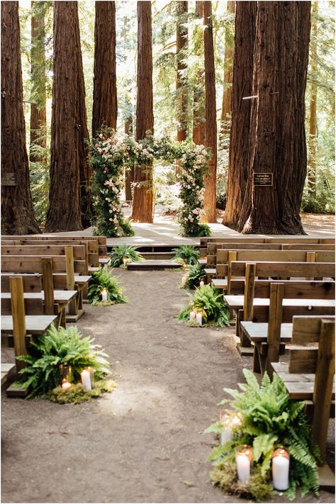 Outdoor Wedding In The Woods, Twilight Wedding Theme, Outdoor Woodsy Wedding, Boho Forest Wedding, Woodland Ceremony, Bellas Wedding, Farm Wedding Venues, Forest Wedding Ceremony, Twilight Wedding