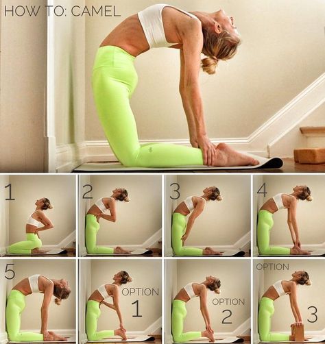 Camel Pose, Yoga Beginners, Beginner Yoga, Partner Yoga, Yoga Posen, Yoga Iyengar, Yoga Moves, Yoga Exercises, Easy Yoga Workouts