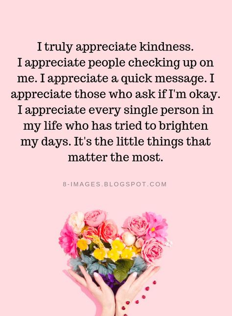 Quotes I truly appreciate kindness. I appreciate people checking up on me. I appreciate a quick message. I appreciate those who ask if I'm okay. I appreciate every single person in my life who has tried to brighten my days. It's the little things that matter the most. I'm Okay, Appreciate Life Quotes, Appreciation Quotes, Things That Matter, Little Things Quotes, To Be Kind, Kindness Quotes, My Days, You Matter