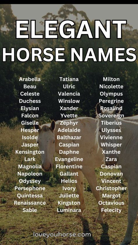 In the world of horse ownership, choosing a name for your new equine friend is an important task.

It’s not just about picking a random word or combination of letters – a horse’s name often reflects their personality, appearance, or even their lineage.

If you’re searching for a unique and elegant name for your horse, look no further! Female Horse Names, Horse Name Ideas, Best Horse Names, Unique Horses, Country Baby Names, Horse Ownership, Female Horse, Elegant Horse, Horse Info