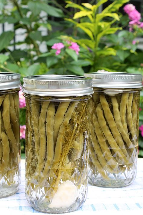 John's Dilly Beans – The Fountain Avenue Kitchen Fermented Green Beans Recipe, Veggie Snack Recipes, Cauliflower Kimchi, Garnishes For Drinks, Pickled Garlic Scapes, Pickled Green Bean Recipes, Healthy Veggie Snacks, Spicy Pickle Recipes, Fermented Green Beans