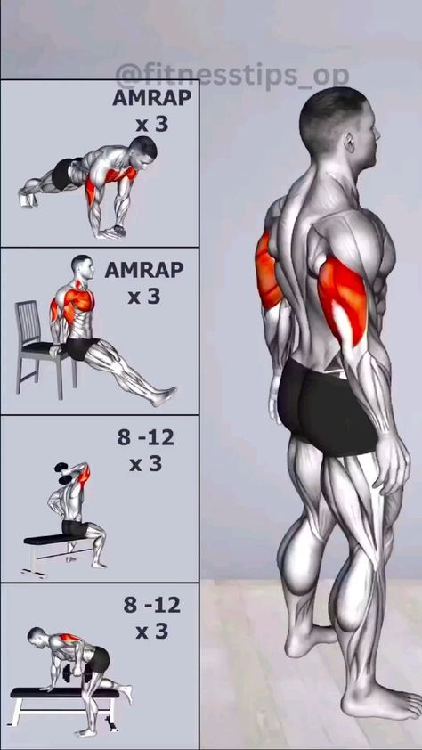 Tricep Workout Gym, Gym Back Workout, Triceps Exercises, Bicep And Tricep Workout, Tricep Workout, Gym Workout Guide, Workout Program Gym, Best Gym Workout, Gym Workout Planner