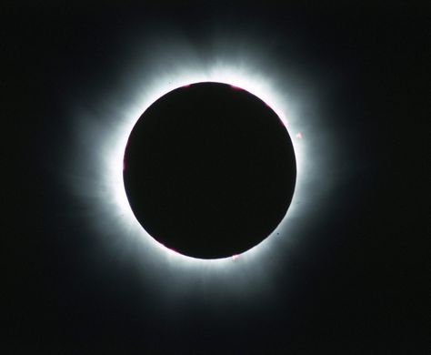 Eclipse Pics Eclipse Photoshoot, Solar Eclipse Picture Ideas, How To Take Pictures Of The Solar Eclipse, Solar Eclipse Pictures, Eclipse Pictures, Canon Camera Settings, How To Photograph Solar Eclipse, Solar Eclipse Images, Solar Eclipse Photography