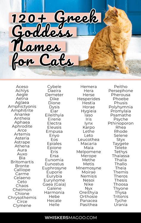 Greek Goddess Names, Names For Cats, Cat Symbolism, Goddess Of The Underworld, Katt Grejer, Cute Cat Names, Goddess Names, Greek Names, Animal Names