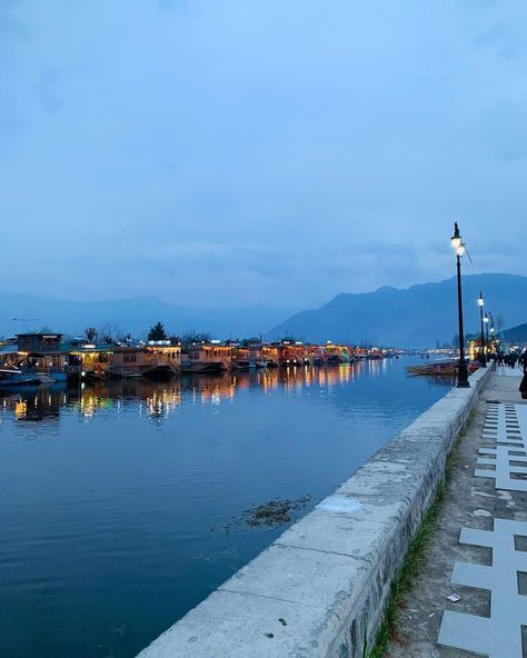 Dal lake Srinagar Kashmir Dal Lake Kashmir Photography, Kashmir Photography, Dal Lake Kashmir, Srinagar Kashmir, Dal Lake, Color Splash Photo, Mountain Aesthetic, Men Faces, Srinagar