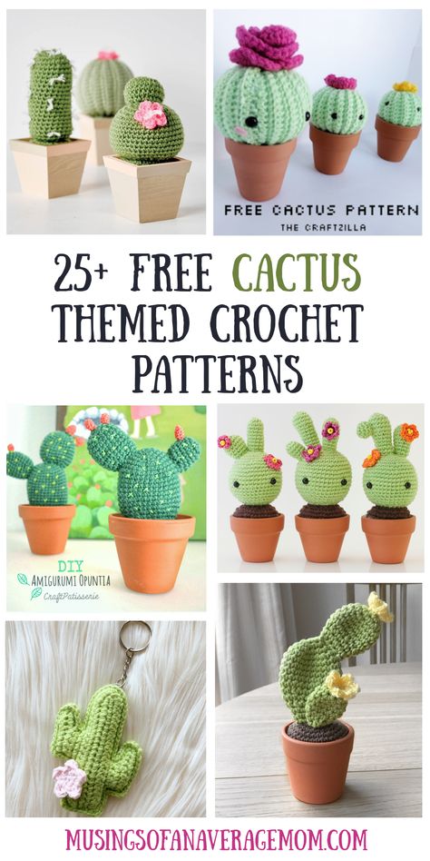 Musings of an Average Mom: Free Cactus Themed Crochet Patterns Crochet Cactus Free Pattern, Crochet Succulent, Crochet Garden, Crochet Cushion Cover, Crochet Cactus, Pola Amigurumi, Crochet Plant, Crochet Cushions, Plant Pattern