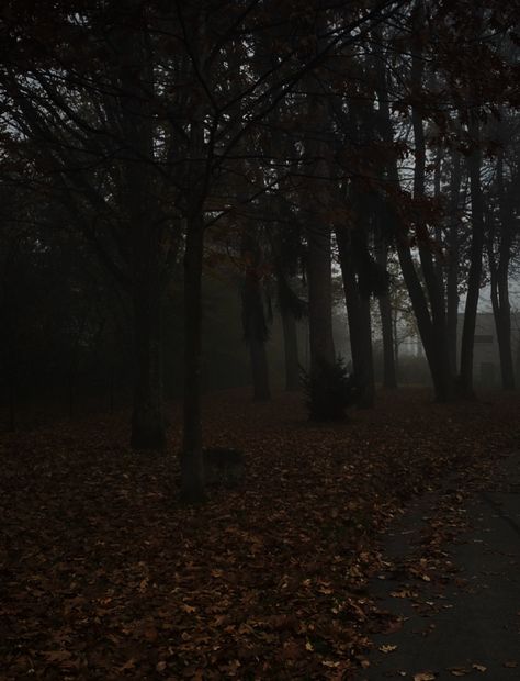 #aesthetic #vibes #blurry #fall Images Of Fall, Blurry Images, Forest Vibes, Trend Board, Android Wallpaper Dark, Aesthetic Vibes, The Mist, In The Woods, Android Wallpaper