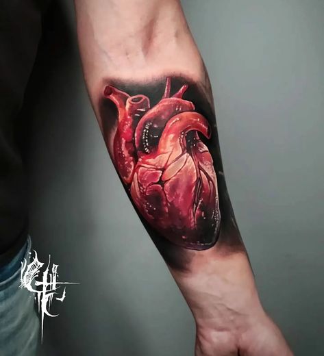 Realism Heart Tattoo, Underworld Tattoo, Real Heart Tattoos, Heart Realistic, Brain Tattoos, Human Heart Tattoo, Realistic Heart Tattoo, Anatomical Tattoos, Realistic Heart