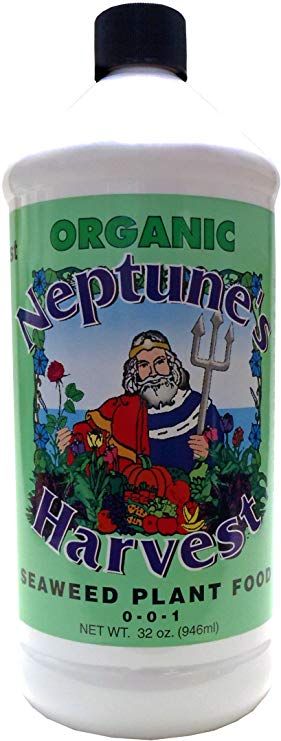 Amazon.com : Neptune's Harvest SW136 Liquid Seaweed Plant Food 0-0-1 1qt, 32 Ounce : Fertilizers : Garden & Outdoor Organic Fertilizer For Vegetables, Seaweed Fertilizer, Bonsai Fertilizer, Foliar Spray, Food Net, Bonsai Soil, Allotment Gardening, Micro Nutrients, Stone Lantern