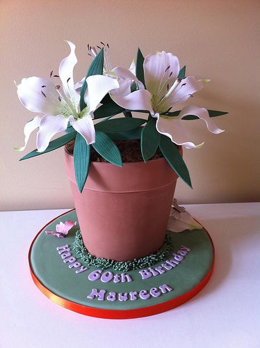 Plant pot cake Plant Pot Cake, Plant Cake Design Birthday, Plant Birthday Cakes, Plant Cakes Ideas, Plant Cakes, Garden Theme Cake, Flower Basket Cake, Mum Cake, Cake Styling