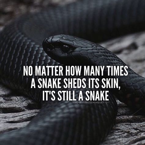 No matter how many times Bad Intentions Quotes, Intentions Quotes, Intention Quotes, Snake Shedding, Bad Intentions, Fake People, Dubai Life, Positive Motivation, Learning Quotes