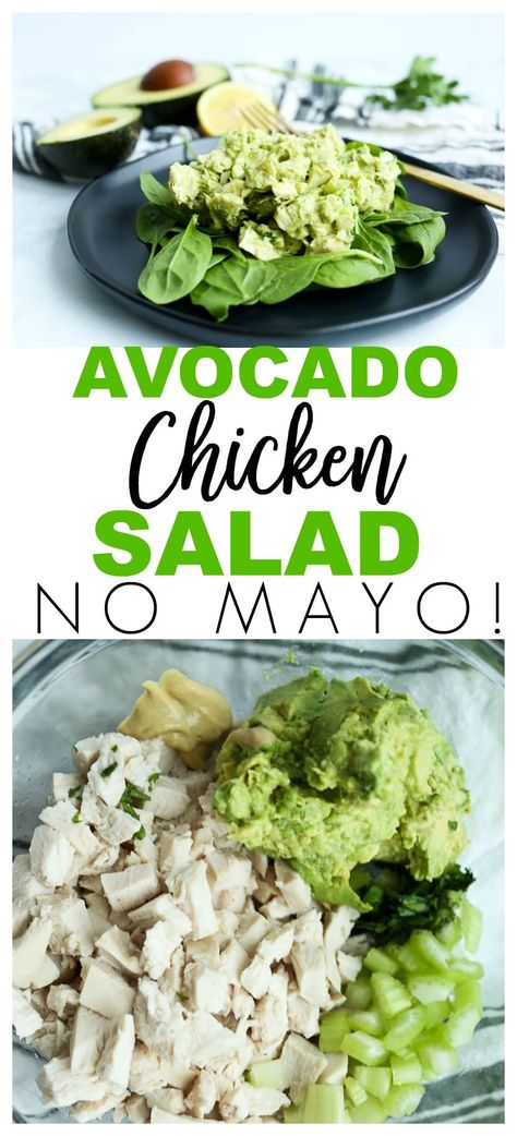 Chicken Salad Recipe No Mayo, Chicken Salad No Mayo, Avocado Chicken Salad Recipe, Health Lunch, Healthy Avocado, Avocado Chicken, Healthy Chicken Salad, Avocado Salat, Recipes For