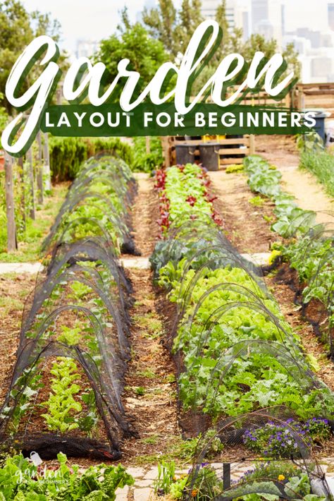 In Ground Vegetable Garden Design, Garden Planting Layout, Food Garden Layout, Raised Bed Garden Layout, Homestead Garden Layout, Planting Layout, Veggie Garden Layout, Vegetable Garden Layout Design, Vegetable Garden Layout