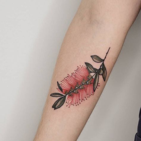 Brody on Instagram: “Bottlebrush 💗 Guest spot dates January 2020 🌞 Newcastle: @flttattoostudio Jan 3-9 Sydney: @littlearttattoo Jan 14-25 Taking bookings ✨now✨…” Bottle Brush Tattoo, Bottlebrush Tattoo, South African Tattoo, Fam Tattoo, Fly Tattoo, Mum Tattoo, Brush Tattoo, Native Tattoos, Tatoo Inspiration