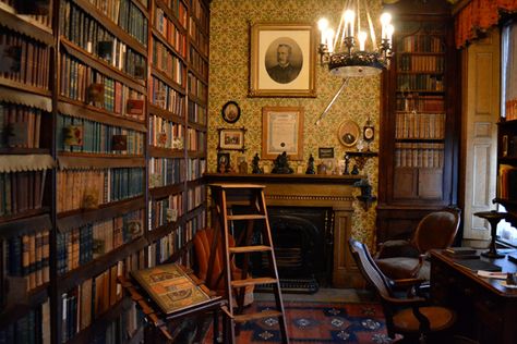 Victorian Library, Castle Interior, Old Libraries, Dream Library, Library Room, Old Library, Library Aesthetic, Home Library Design, Personal Library