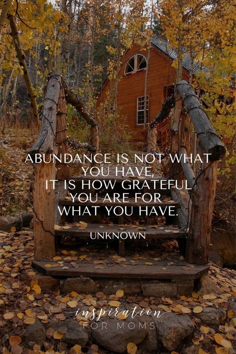 Cottagecore Homes, Romantic Movie Quotes, Abraham Hicks Quotes, Thanksgiving Quotes, Autumn Quotes, Grateful Thankful Blessed, Attitude Of Gratitude, Inspirational Thoughts, Daily Inspiration Quotes