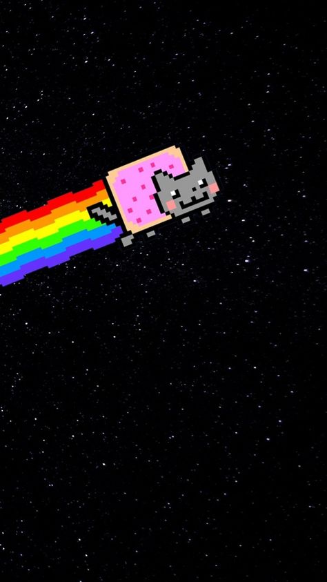 Nyan Cat Wallpapers, Scenecore Wallpaper, Cat Wallpaper Iphone, Nya Cat, Wallpapers Cat, Glasses Wallpaper, Cat Wallpapers, Scene Wallpaper, Cat Iphone