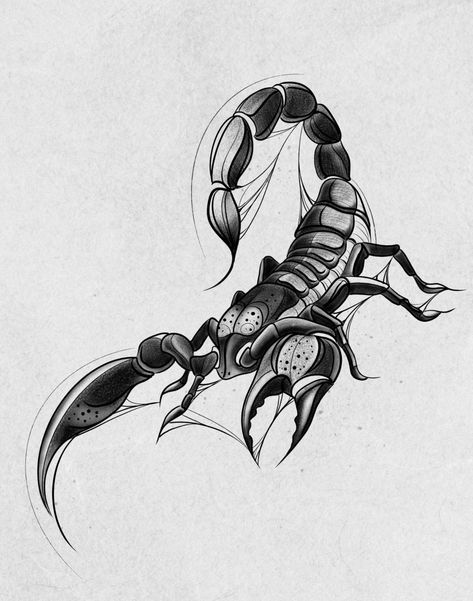 Scorpio Drawing, Scorpio Art, Scorpio Tattoo Design, Scorpion Tattoo Ideas, Tattoo Scorpio, Scorpion Drawing, Scorpion Tattoo Design, Scorpio Tattoos, Tato Naga