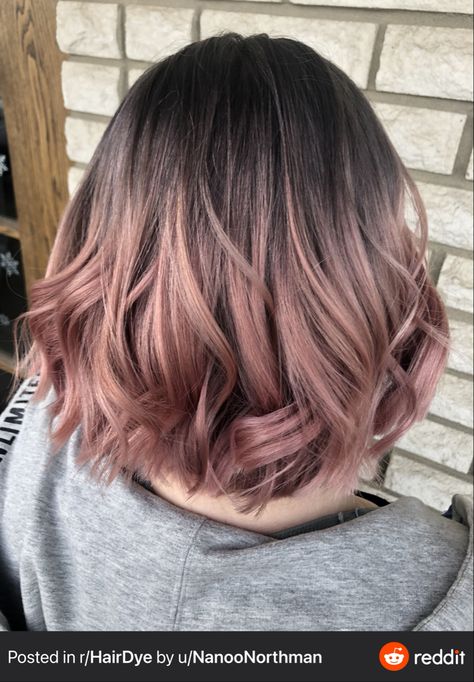 Grey Hair Pink Highlights, Pink On Grey Hair, Pink Dyed Hair Short, Highlight Pink Hair, Pink Hair Color Ideas For Short Hair, Hair Colour Ideas For Short Hair, Short Hair Colour Ideas, Pink Ombre Hair Short, Grey And Pink Hair