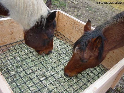 Five Common Mistakes Made When Feeding A Horse - so much good info here, including the daily calorie requirements of horses in different situations. Paradise Paddock, Equine Enrichment, Horse Paradise, Horse Feeding, Hay Feeder For Horses, Horse Feeder, Farm Horses, Animal Enrichment, Horse Nutrition