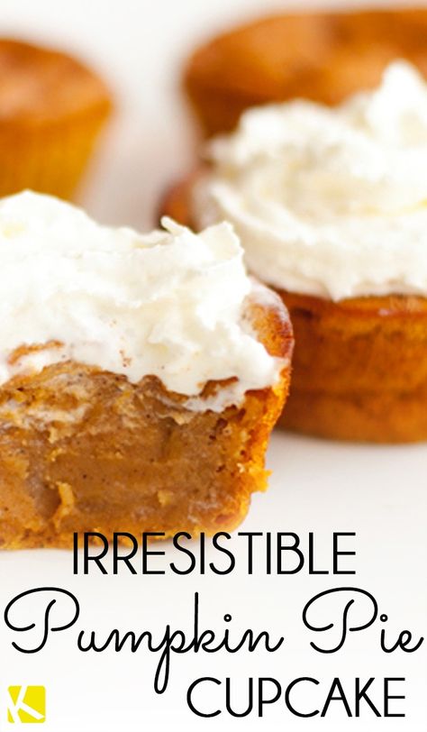 Impossible Pumpkin Pie Cupcakes, Pumpkin Pie Cupcakes Recipe, Impossible Pumpkin Pie, Pumpkin Pie Cupcakes, Pie Cupcakes, Pie Pops, Easy Pumpkin Pie, Pumpkin Desserts, Everything Pumpkin