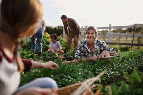 Cultivating Community: The Impact of Supporting Local Homesteading Businesses Farm Marketing, Ethical Consumerism, Graphic Design Books, Business Ownership, Community Support, Sustainable Agriculture, Sustainable Lifestyle, Support Local, Family Life