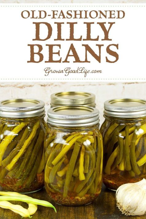 Old-Fashioned Pickled Dilly Beans | Recipe | Dilly beans canning recipe, Canning beans, Dilly beans Dilly Beans Recipe Canning, Pickled Dilly Beans, Dilly Beans Recipe, Canning Beans, Pickled Foods, Pickled Green Beans, Dilly Beans, Food Preserving, Canning Fruit