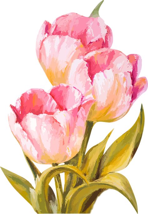 Tulip Painting, Tulips Art, Watercolor Tulips, Candy Cane Christmas, Watercolor Flower Art, Watercolor Flowers Paintings, Flower Art Painting, Watercolour Tutorials, Watercolor Cards