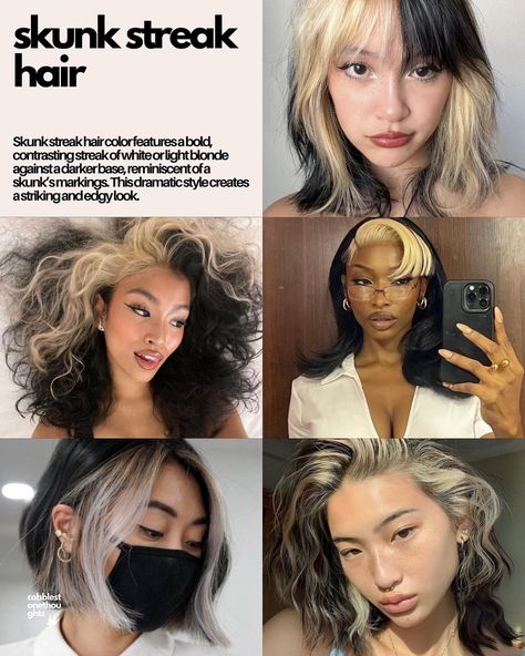 cool girl hair colours • which of these is your fav? 💌 • i think mine is the skunk streak hair 🫂 • • • • • • • • • • • • • • • • • • • • • • • • #moodboard #moodboards #moodboardaccount #moodboardaesthetic #starterpack #niche #aesthetic #aesthetics #ａｅｓｔｈｅｔｉｃ #aestheticedits #aesthetictumblr #edit #hair #coolgirl #coolgirlhair #hair #hairstyle #pinterest #pinterestinspired #pinterestgirl #pinterestaesthetic #nichememes #nichememeaccount #vintage #cute #love #instagram Skunk Stripe Hair Curly, Skunk Hair Curly, Skunk Streak Hair, Skunk Stripe Curly Hair, Streak Hair, Cool Girl Hair, Skunk Hair, Niche Aesthetic, Girl Hair Colors