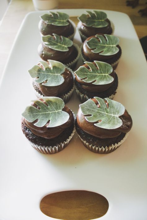 Chocolate cupcakes for a third birthday - ‘3-Rex’ theme Rainforest Cupcakes, Leaf Cupcakes, Third Birthday Party, Third Birthday, Chocolate Cupcakes, Monstera Leaf, Bday Party, Wedding Party, Birthday Party