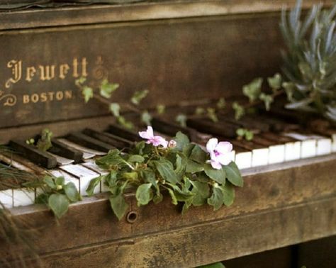 Piano With Flowers, Old Piano, Skai Jackson, Old Pianos, Walled Garden, Over The Garden Wall, The Piano, Pics Art, Green Aesthetic