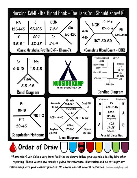 nursingkamp.com Nursing Labs Nursing School Labs Medical Surgical Nursing from my Blood book the labs you should know! Medical Pneumonics, Labs Nursing, Phlebotomy Study, Nursing Labs, Cardiology Nursing, Coconut Health, Np School, Clinical Laboratory, Nurse Tips