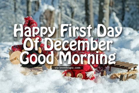 December 1st Quotes, 1st Day Of December, Welcome December Quotes, New Month Messages, Happy First Day Of December, Words Encouragement, Funny Good Night Images, First Day Of December, New Month Wishes