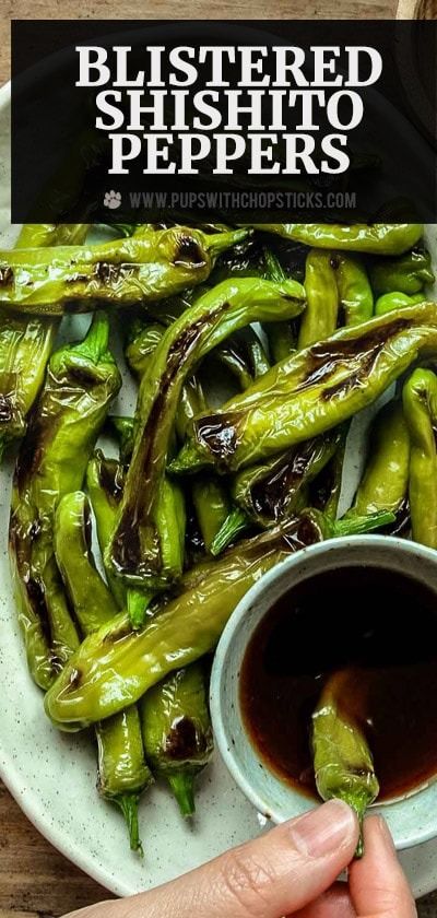 Easy Blistered Shishito Peppers With Dipping Sauce Asian Chicken Recipes Easy, Shishito Pepper Recipe, Blistered Shishito Peppers, Takeout Recipes, Ponzu Sauce, Asian Sauces, Shishito Peppers, Authentic Asian Recipes, Pepper Recipes