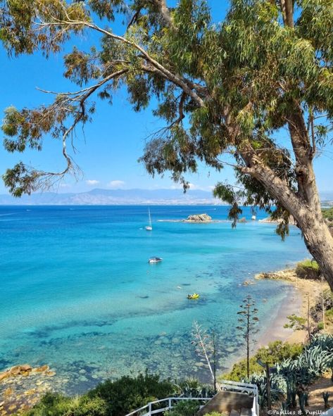 Paphos : une destination balnéaire, historique et gourmande Ayia Napa, Paphos, Pesto