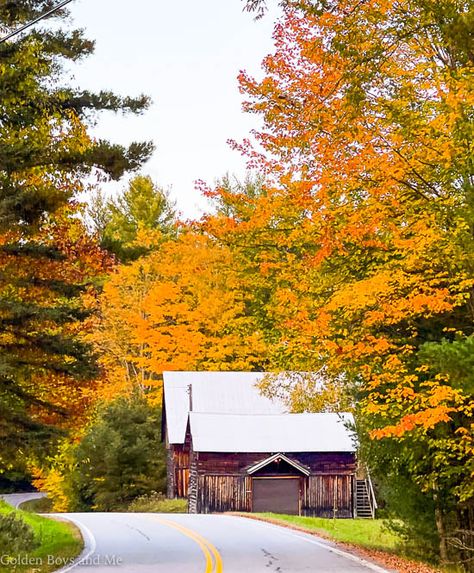 Autumn Things, Fall Scenery, Diy Porch Swing, Diy Home Projects, The Adirondacks, Diy Porch, Fire Pit Area, Old Pallets, Autumn Scenery