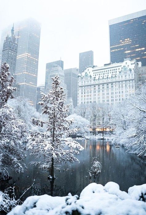 Snow covered Central Park in NYC New York City Manhattan. Central park after a winter blizzard snow storm. New York Snow, Photographie New York, New York Landmarks, New York Winter, Nyc Christmas, New York City Manhattan, Winter Szenen, Nyc Park, Central City